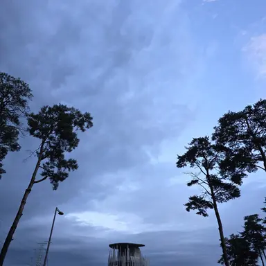 Profile image of 잭