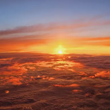 Profile image of 류