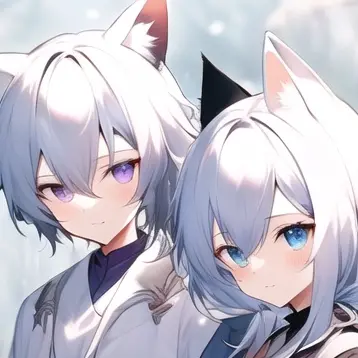 __333의 使用人の双子