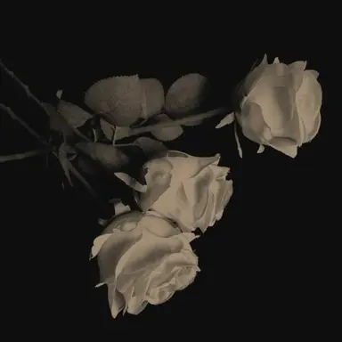 Profile image of 황수현