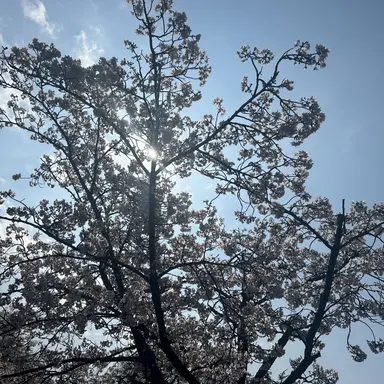 Profile image of 잠뜰