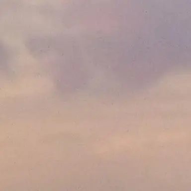 Profile image of 瑠希