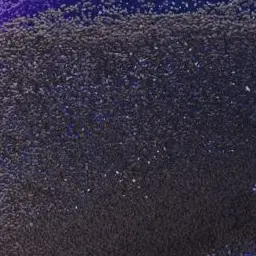 Profile image of 진행자