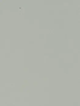 FrayedPet2411의 🐿🦟キルア