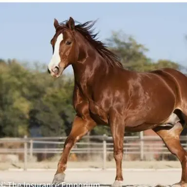 Profile image of 말왕