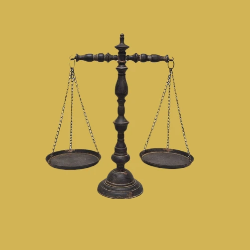 앨리슨 캐머런