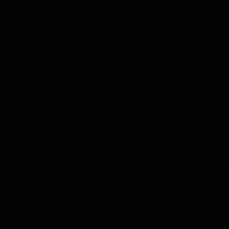 신 건