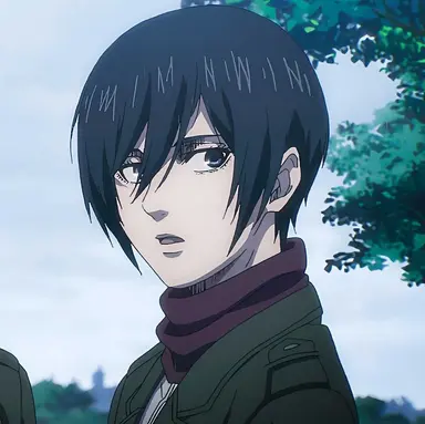 Profile image of ミカサ