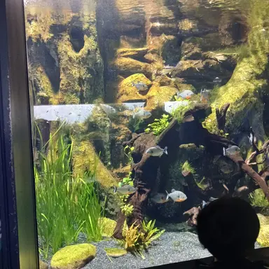 Profile image of 오준현