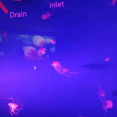 Profile image of 신승아