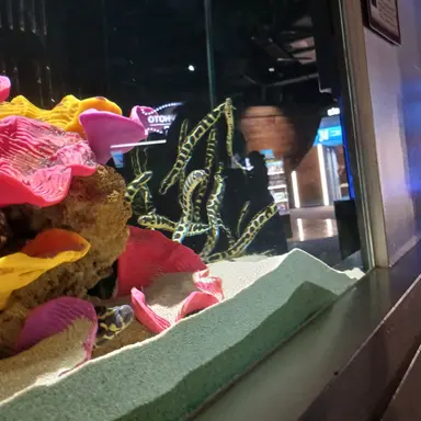 Profile image of 또니