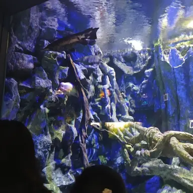 Profile image of 수경사