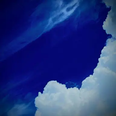 Profile image of 翔太