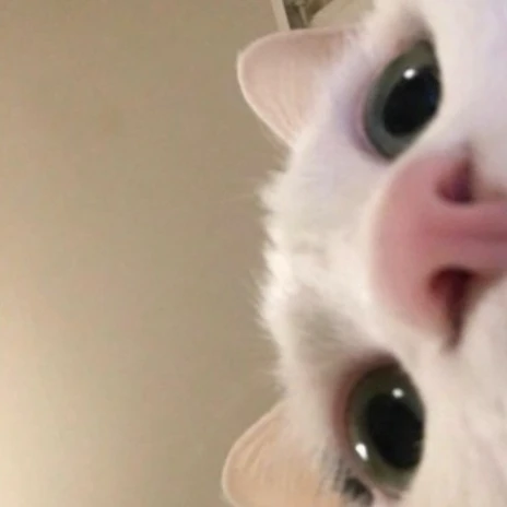 명재현