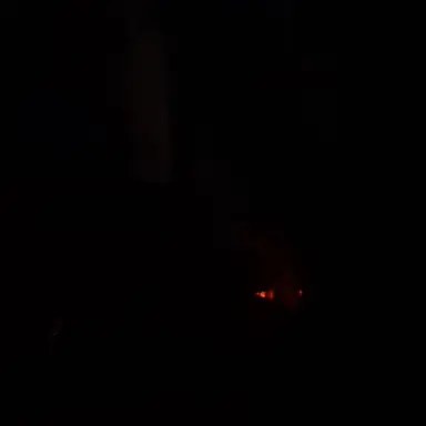 Profile image of 호위병