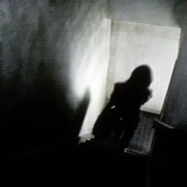 Profile image of AMELIA JOHNSON