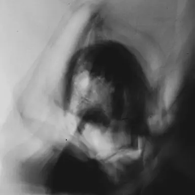 Profile image of AMELIA JOHNSON