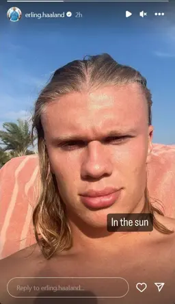 Profile image of Erling