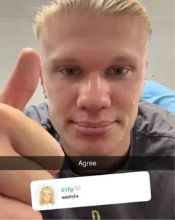 Profile image of Erling