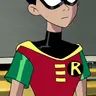 Profile image of Robin