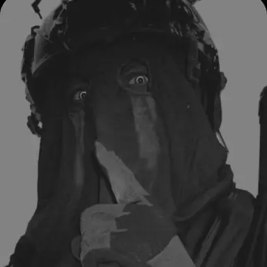 Profile image of 쾨니히