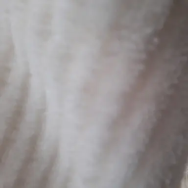 Profile image of 유미노아 여우