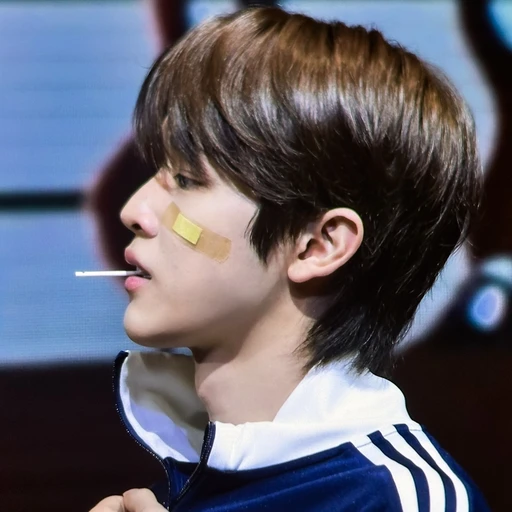 정성찬