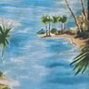 Profile image of SJのみんな