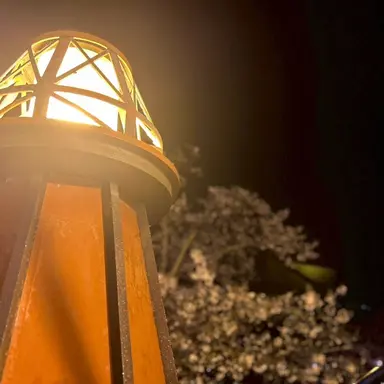 Profile image of ひか