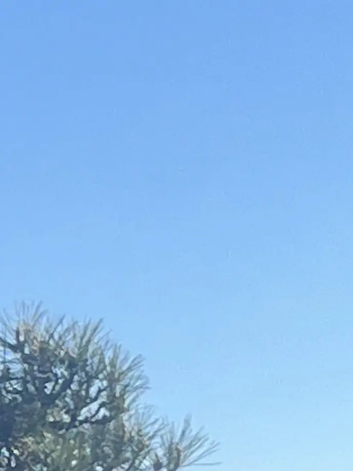 UniqueRupee5879의 親戚の子