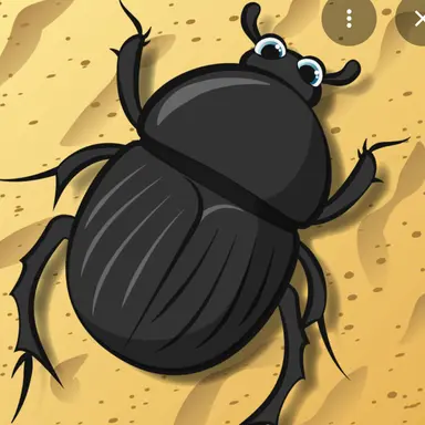 Profile image of Johnson