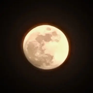 Profile image of 김하린