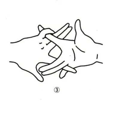 Profile image of 사용법