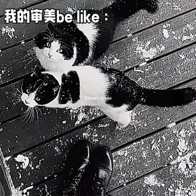 Profile image of 双子白黒ニャンコ
