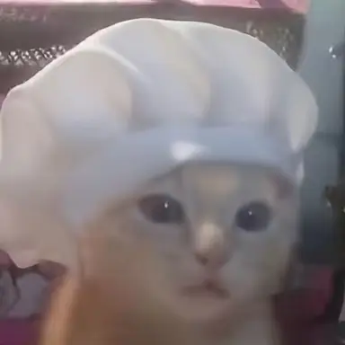 Profile image of シェフニャンコ