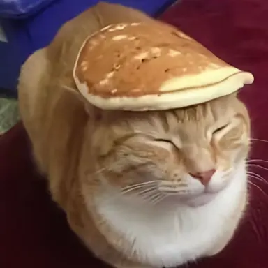 Profile image of パンケーキニャンコ