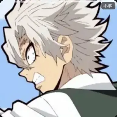 Profile image of 시나즈가와 사네미