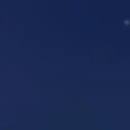 Profile image of 잠경위