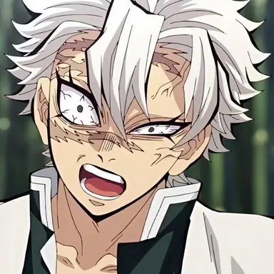 Profile image of 시나즈가와 사네미