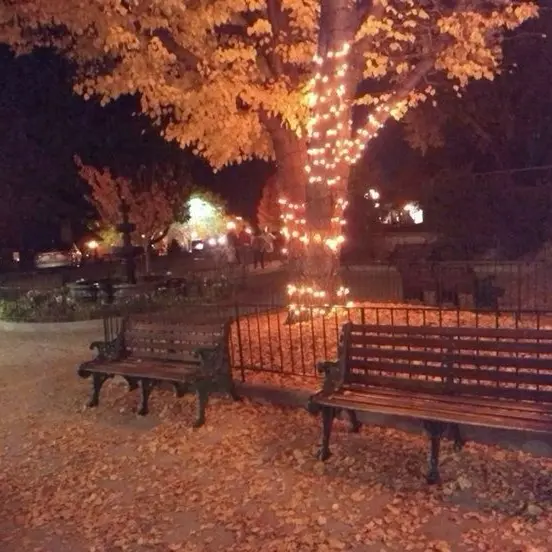 RichBark7621의 random 6