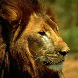 Profile image of 무토