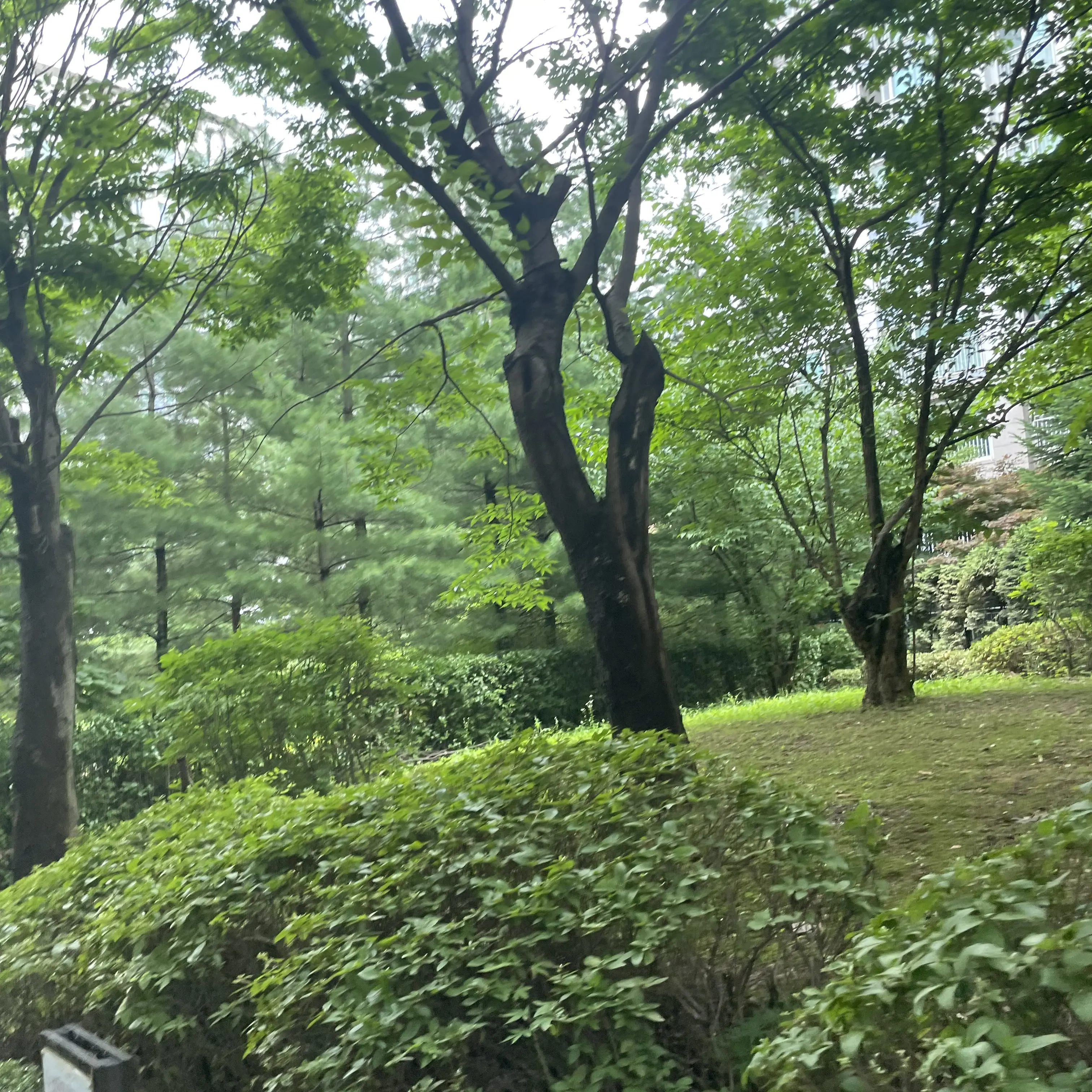 SalmonChin4028의 달쑛 근데 둘리동거하고 당신은 요루루