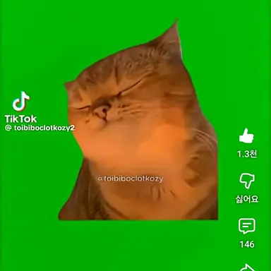 Profile image of 야빠빠 고양이