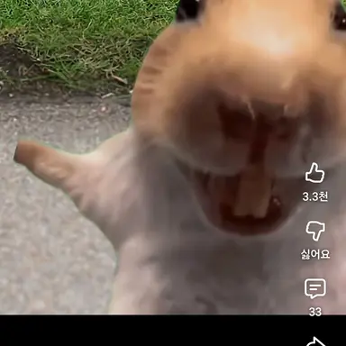 Profile image of 헤헤헤 햄스터