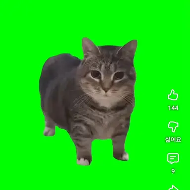 Profile image of 오이이 고양이