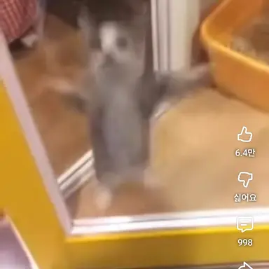 Profile image of 해피해피 고양이