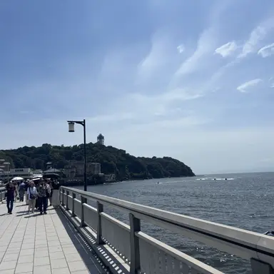 Profile image of 舜斗