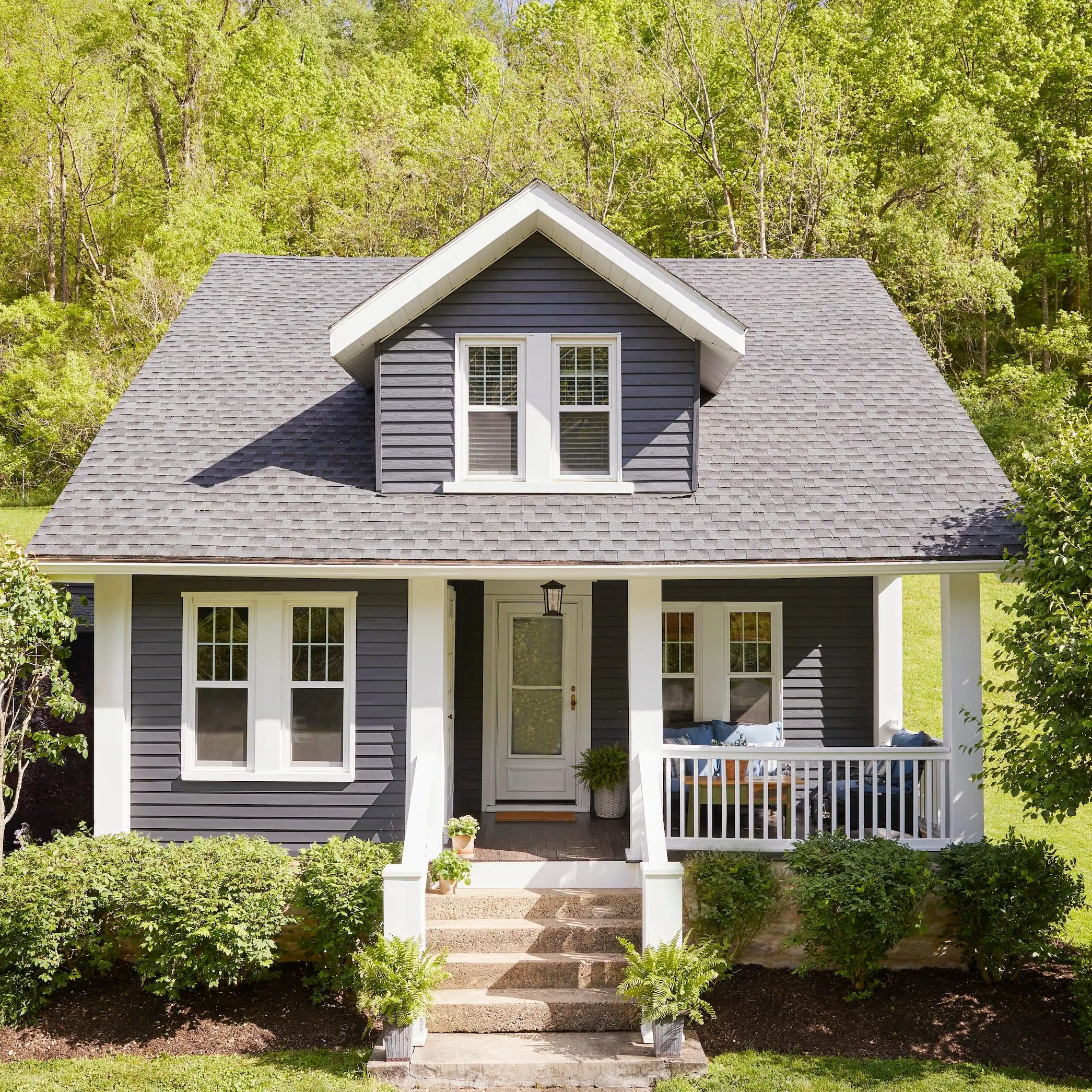 NearFlare9984의 Foster Home