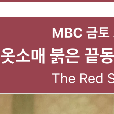 옷소매 붉은 끝동 대표 이미지