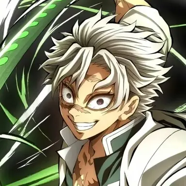 Profile image of 시나즈가와 사네미